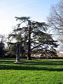 Boboli Gardens-13